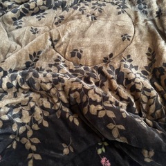 こたつ こたつ布団セットの画像