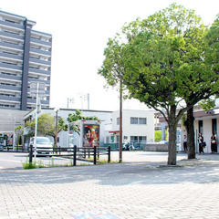 【限定募集】全額日払いOK｜ダンプ運転＋除草｜明日から勤務可の画像