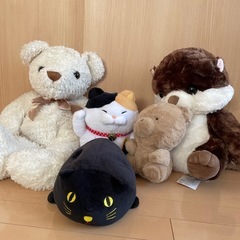 ぬいぐるみ（クマ、ネコ、カワウソ）　　の画像