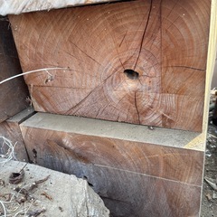欅　ケヤキ　木材　角材　の画像