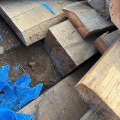 欅の角材　杉板　木材　樹種さまざまの画像