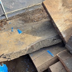 欅の角材　杉板　木材　樹種さまざまの画像