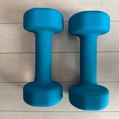 ダンベル 3kg 2個　の画像