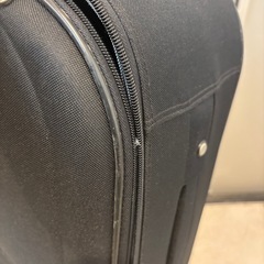 キャリーバック
の画像