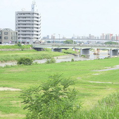 【明日から働ける】ダンプ運転手／除草作業あり｜高日給1.3万〜の画像