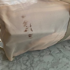 【子供用】Sleep スリープ（プレイヤード）の画像