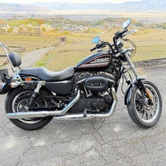 ハーレー　XL883R   車検2年(27年11月まで) バッテリー新品　低走行
の画像