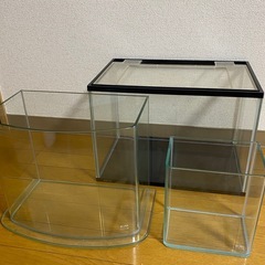 水槽 ４本 まとめ売り アクアリウム    熱帯魚の画像