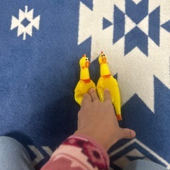 びっくりチキン❗️の画像