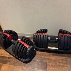 【ジャンク品】【無料】可変式ダンベル2.5~24kgの画像