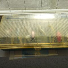 値引き！ルアー（ケース付き）　ジャンクの画像