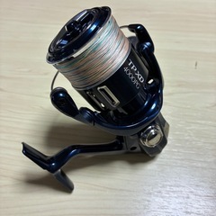 21ツインパワーXD 4000PGの画像