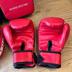 グローブ、ミットの画像