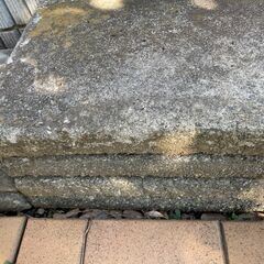 コンクリート敷石 20枚 差し上げますの画像