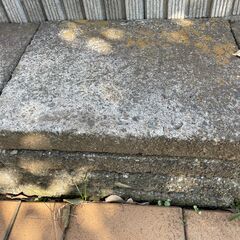 コンクリート敷石 20枚 差し上げますの画像