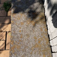 コンクリート敷石 20枚 差し上げますの画像