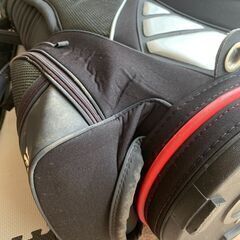 キャディバック 「リーボック」おまけロストボール２０個の画像