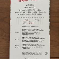 【新品未使用】東京優芳園 かすみ草の種 高級あぶらとり紙 3点セットの画像