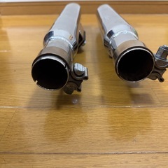 HDスポーツスター　phantomスリップオンの画像