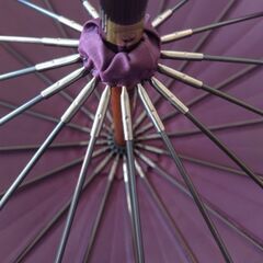 日本製 16本骨 長傘の画像