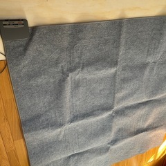 ホットカーペットの画像