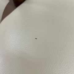 椅子　回転椅子　チェアー　高級品　　大川家具の画像