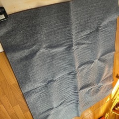 ホットカーペットの画像