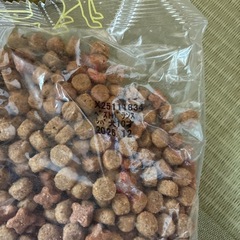 ベストバランス柴犬用①の画像