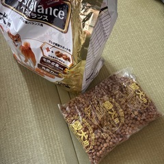 ベストバランス柴犬用①の画像