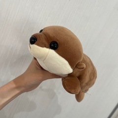 カワウソ？ラッコ？ぬいぐるみの画像