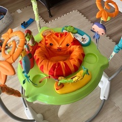 レインフォレストジャンパルーの画像