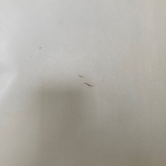 3人用白いソファー　シミあり170 75 敗れありの画像