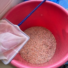 メダカなどに小型水槽　付属品もまとめての画像