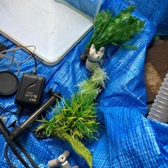 メダカなどに小型水槽　付属品もまとめての画像