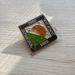 フェス　ガチャ　ピンバッジ　ピックの画像