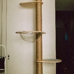 キャットタワー 3年使用 宇宙船ボウル付きの画像