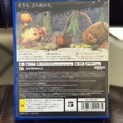 【PS5】WILD HEARTS 美品の画像