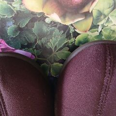 室内用リハビリシューズ（アサヒシューズ「快歩主義」）介護靴の画像