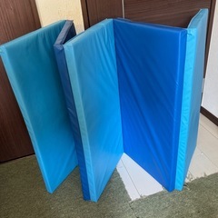 IKEA イケア 折りたたみ式マット ブルー 78x185cmの画像