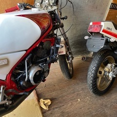 2台セット　RZ250R 29L 51L 1AR 1XG 3HM の画像