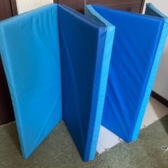 IKEA イケア 折りたたみ式マット ブルー 78x185cmの画像