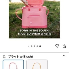 クーラーバック　クーラーボックス　新品未使用　　の画像