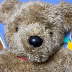 でかい  クマのぬいぐるみ  取りに来られる方限定
の画像