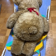 でかい  クマのぬいぐるみ  取りに来られる方限定
の画像
