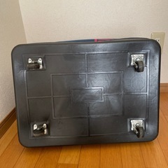 スキーキャリーバッグの画像