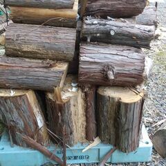 薪　薪ストーブ　です　伐採後1年半の画像