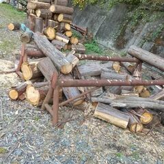薪　薪ストーブ　です　伐採後1年半の画像