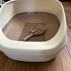 猫　デオトイレの画像