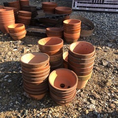 植木鉢等　ガーデニングの画像