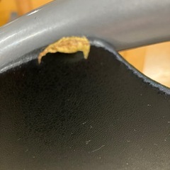 ロ 2511-484 山善 パイプイス キズ汚れ有り 中古の画像